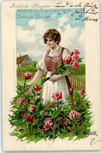 1903 Frau Pfingstrosen