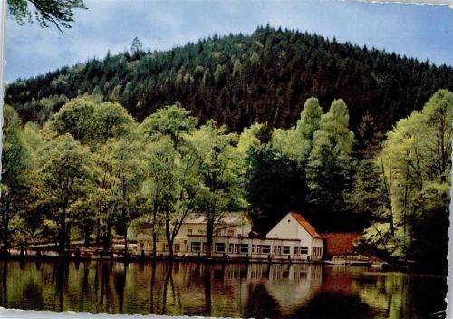 Weidenthal Cafe Gasthaus Forellenhaus Isenach