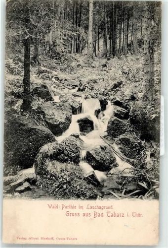 Tabarz Waldpartie im Lauchagrund