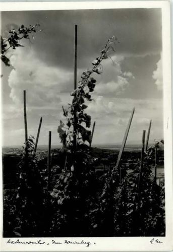 Badenweiler AKU1