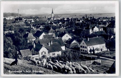 Thannhausen Schäfer mit Herde