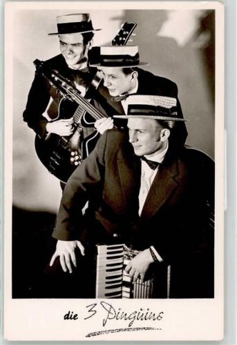 3 Pinguins Gitarre Akkordeon