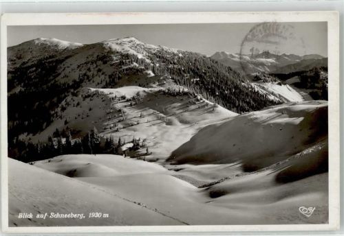 Mühlbach Blick auf Schneeberg