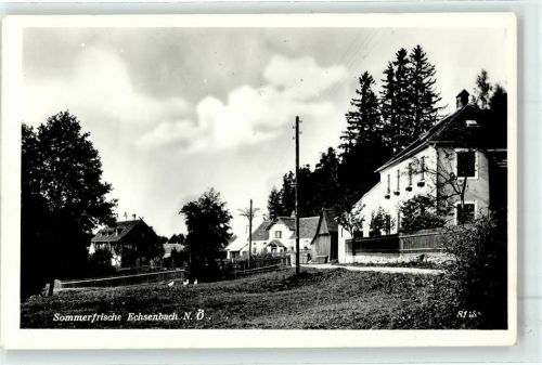 Echsenbach