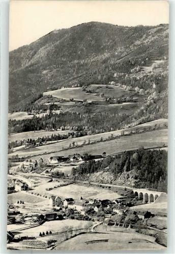 Steinhaus
