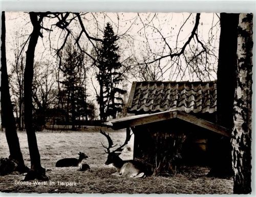 Gronau Tierpark