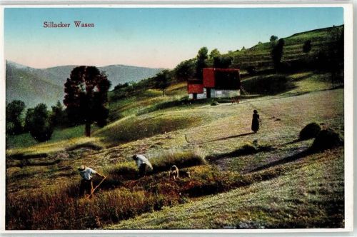 Metzeral Sillacker Wasen Ernte