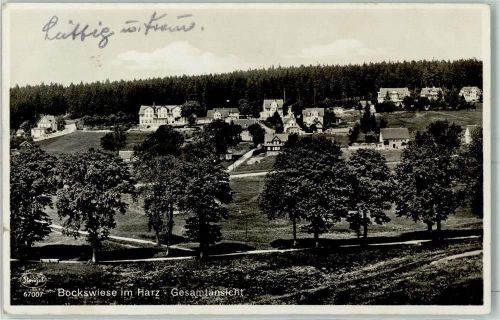 Hahnenklee-Bockswiese Allee