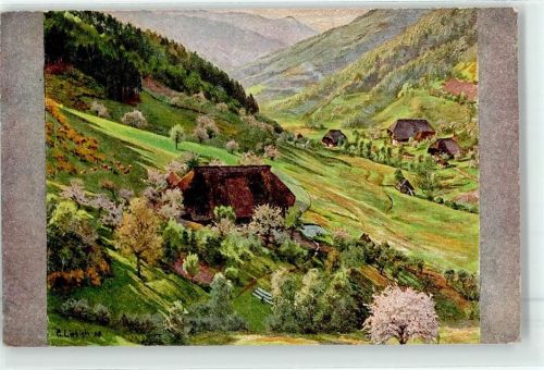 Frühling in den Schwarzwaldbergen Kirnbachtal