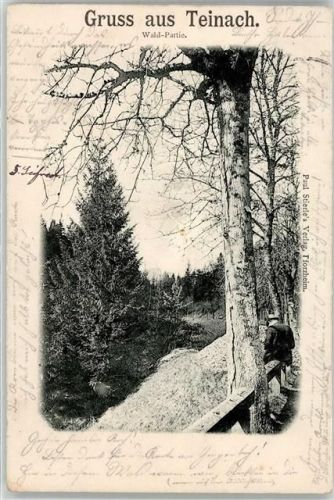 Bad Teinach 1898