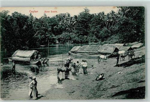 RIver Scene