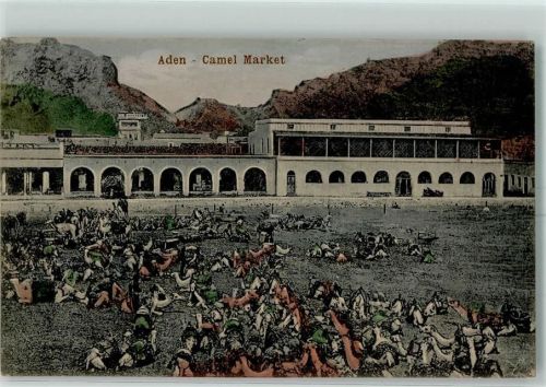 Aden Camel Markt