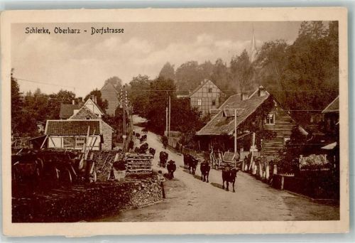Schierke Viehtrieb durch die Dorfstraße unterhalb der Bergkirche