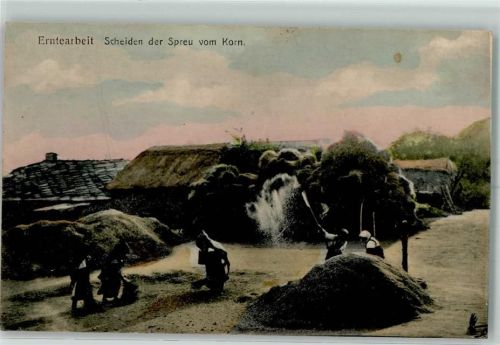 Erntearbeit Scheiden Spreu Korn Arbeiter Schaufel