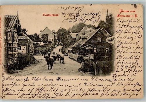 Schierke 1906 Rindertrieb über eine Dorfstraße