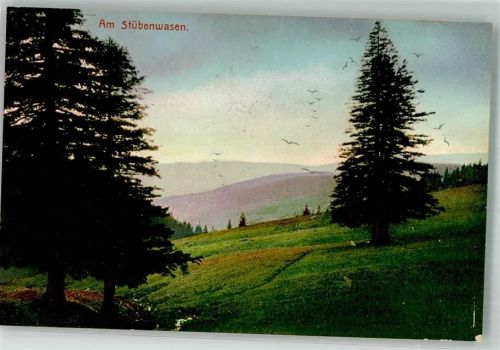 Feldberg Am Stübenwasen