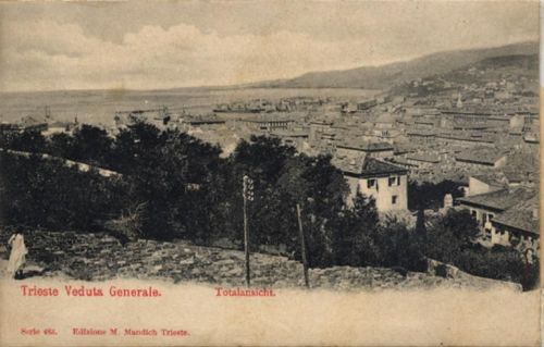 Trieste / Triest / Trst Trieste (Italien) Mechanik-Karte mit Leporello Gesamtansicht I-II (Stauchung in Leporello)
