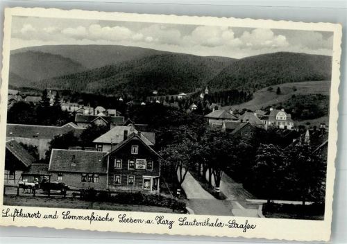 Seesen Lautenthaler Straße
