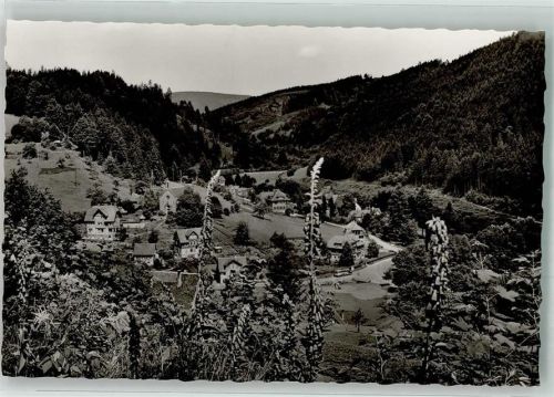 Schönmünzach
