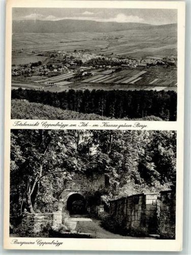 Coppenbrügge Panorama des Ortes und Burgruine Coppenbrügge Verlag Thoericht 15401