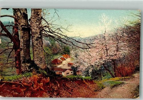Starnberg 1910 Mühltal