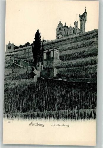 Würzburg Die Steinburg