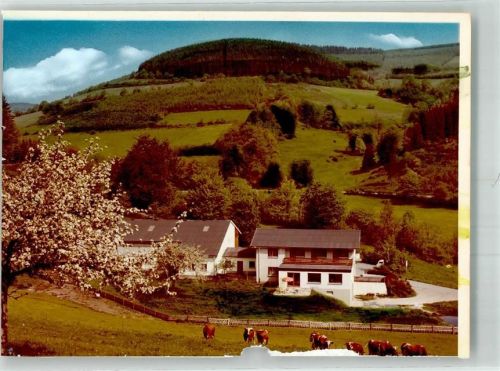 Alertshausen Gasthaus Benner Foto Original aus Archiv eines Ansichtskartenverlages Ort handschriftlich