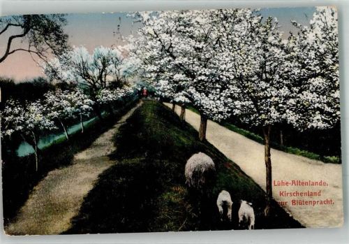 Stade 1918 Altenlande Ort lt. Stempel