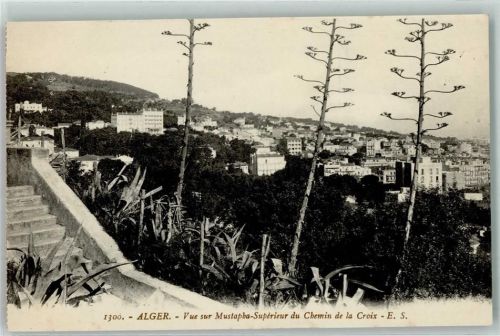 Alger