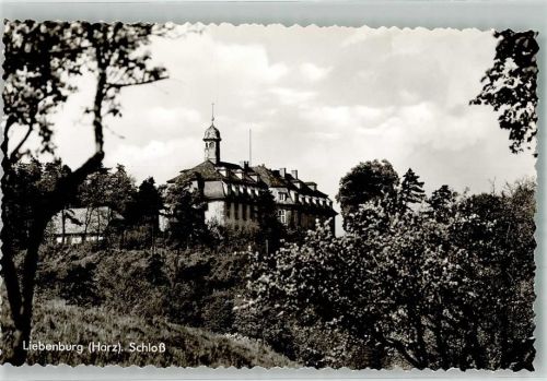 Liebenburg Schloss Liebenburg
