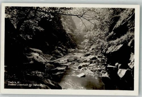 Thale Bodetal unteerhalb der Schurre