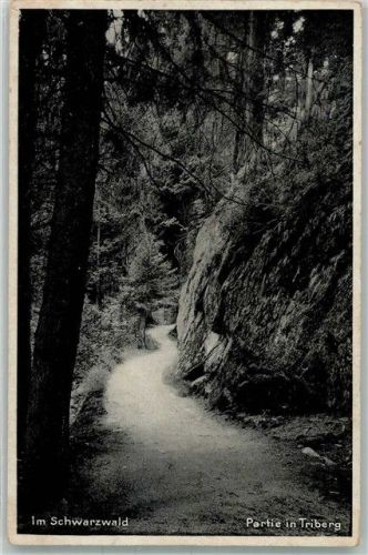 Triberg Schwarzwald Wald Weg