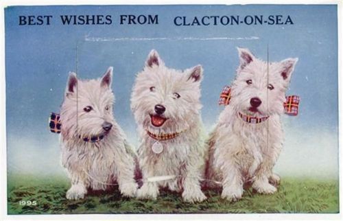 Clacton-on-Sea Clacton-on-Sea (Großbritannien) Leporello Highland-White-Terrier I-II (Stauchung)