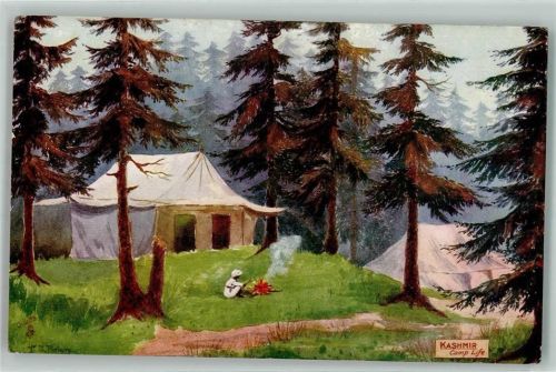 Kashmir Zelt Oilette Wide wide world 7089