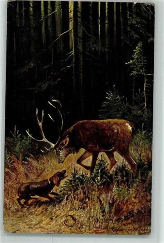1904 Hirsch Wald sign.