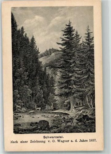Schwarza sign. Wagner Rehe im Schwarzatal