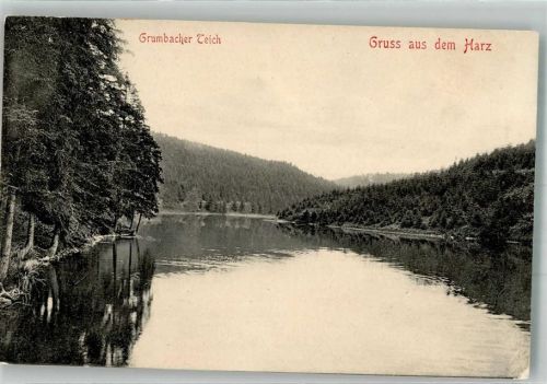 Hahnenklee Grumbacher Teich Harz