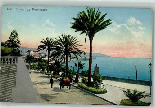 San Remo La Promenade Palmen