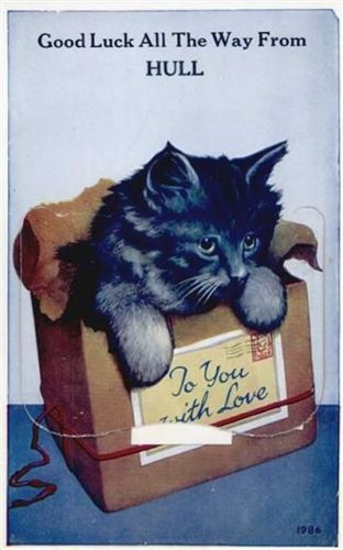 Hull Hull (Großbritannien) Leporello, Katze II (Stauchung, fleckig RS)
