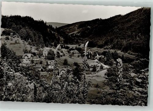 Schönmünzach
