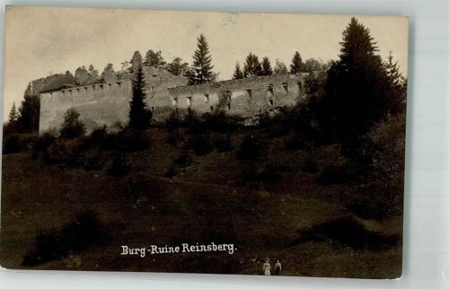 Reinsberg Burg Ruine Reinsberg