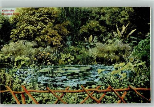 Karlsruhe Seerosen- Teich