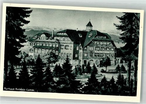 Kniebis Kurhotel Kniebis Lamm
