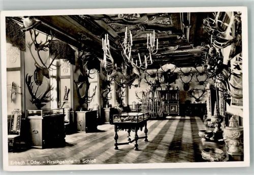Erbach Hirschgalerie im Schloss