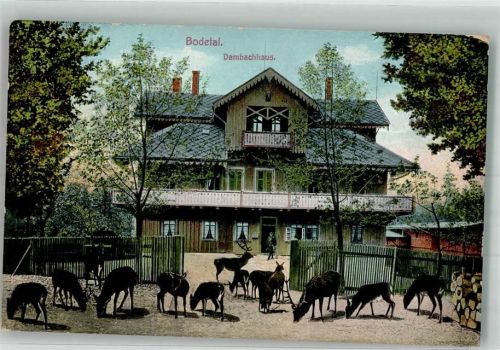 Thale Gasthaus Dambachhaus wildtiere