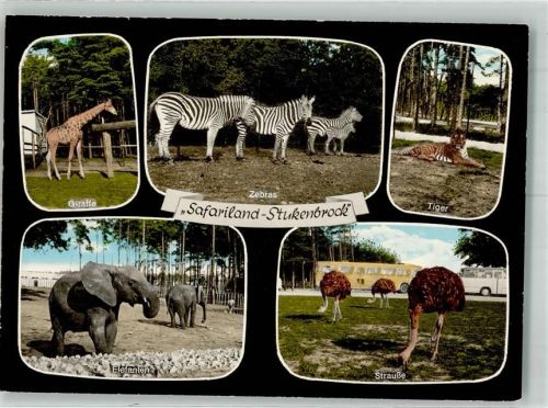 Stukenbrock Senne-Grosswild-Safari Strauße Giraffen Elefant Zebras Tiger