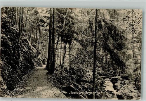 38871 O3705 Ilsenburg 1909 - Bremer Weg