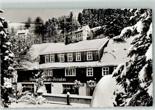 Willingen Winter Gasthaus Cafe Pension Sauerländer Hof