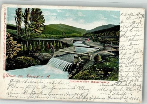Seesen 1901 Kurparkblick talaufwärts