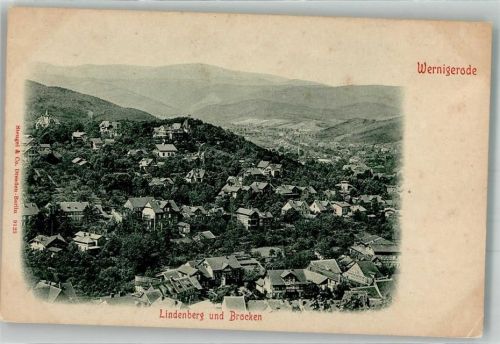 Wernigerode Lindenberg und Brücken